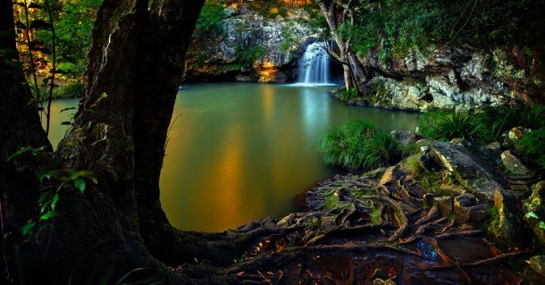 Maleny Rainforests Walks ObiObi Waterfalls 